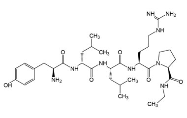 PA PEP 000257