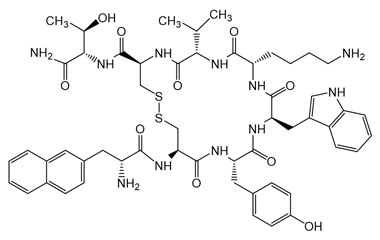 PA PEP 000260