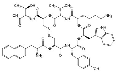 PA PEP 000261