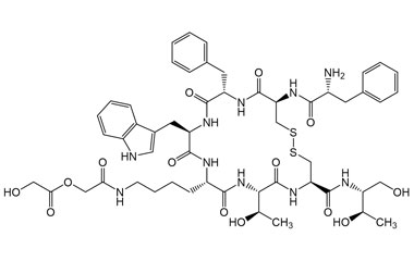 PA PEP 000305