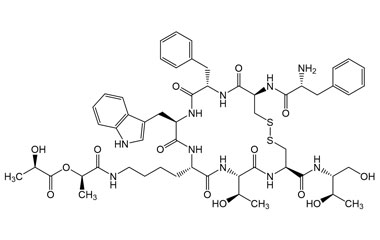 PA PEP 000308