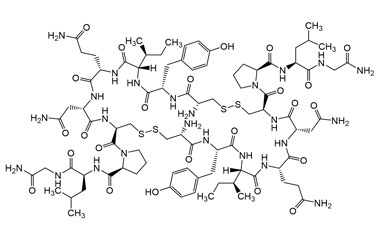 PA PEP 000316