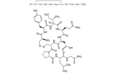 PA PEP 000317