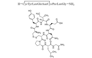 PA PEP 000318