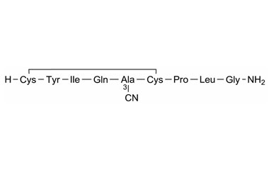 PA PEP 000321