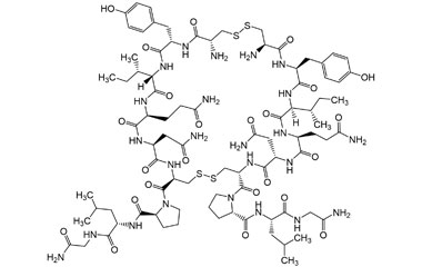 PA PEP 000322