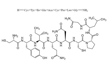 PA PEP 000326