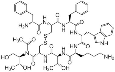 PA PEP 000338