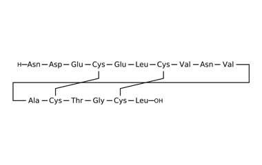 PA PEP 000348