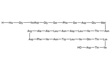 PA PEP 000425