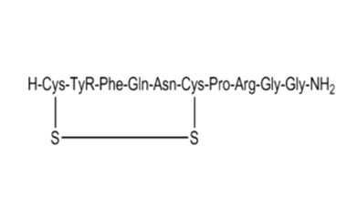 PA PEP 000435