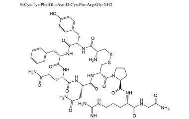 PA PEP 000445