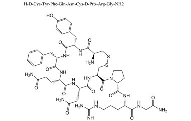 PA PEP 000446