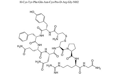 PA PEP 000447