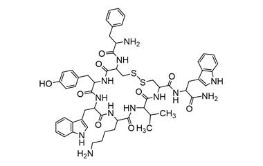 PA PEP 000479