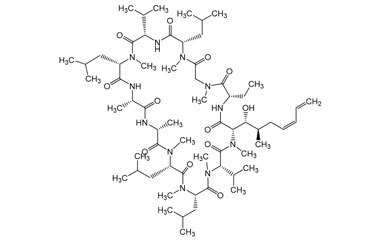 PA PEP 000481