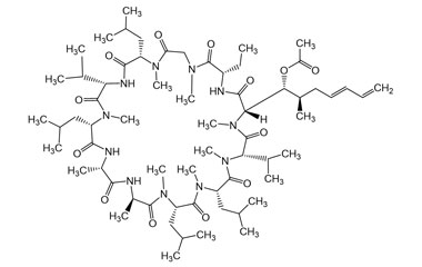 PA PEP 000482