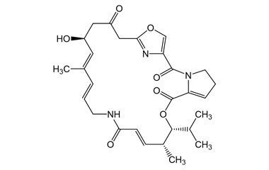 PA PEP 000486