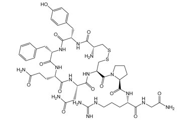 PA PEP 000487