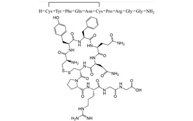 PA PEP 000488