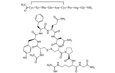 PA PEP 000489