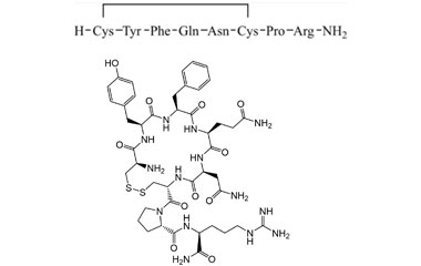 PA PEP 000492