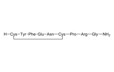 PA PEP 000496