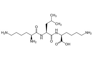 PA PEP 000504