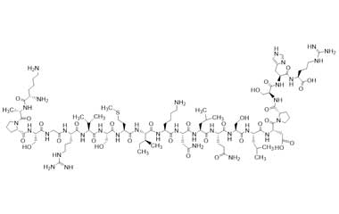 PA PEP 000505