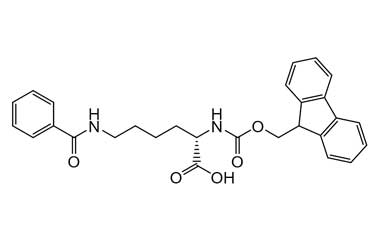 PA PEP 000507