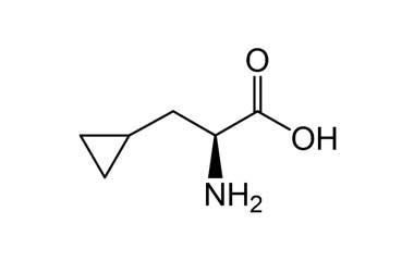 PA PEP 000512