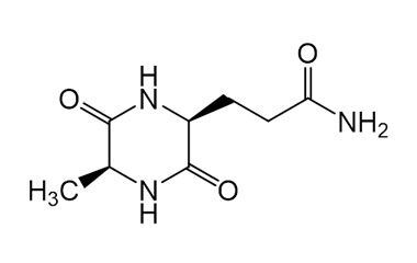 PA PEP 000529