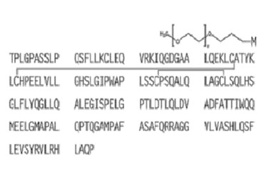 PA PEP 000533