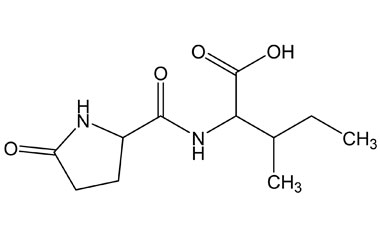 PA PEP 000536