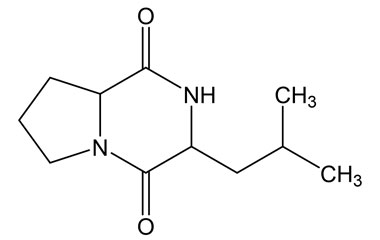 PA PEP 000537