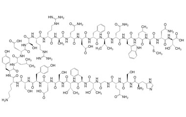 PA PEP 000540