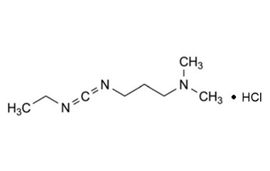 PA PEP 000544