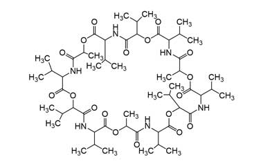 PA PEP 000551