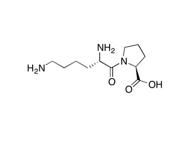 PA PEP 000560