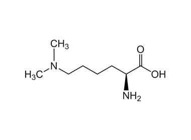 PA PEP 000561