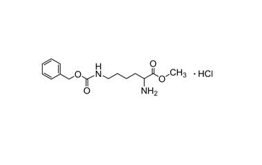 PA PEP 000563