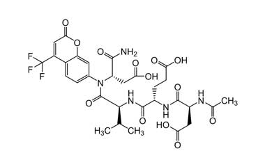 PA PEP 000565