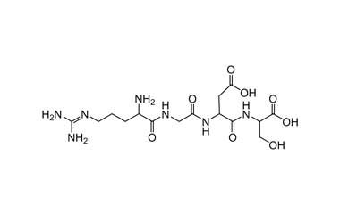 PA PEP 000566