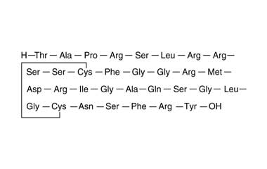 PA PEP 000571