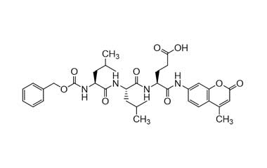 PA PEP 000572