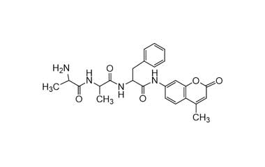 PA PEP 000577