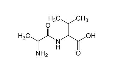 PA PEP 000583