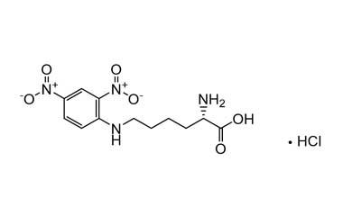 PA PEP 000595