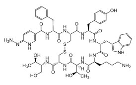 PA PEP 000602