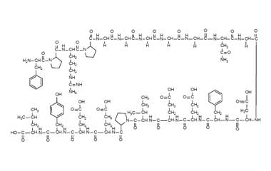 PA PEP 000616